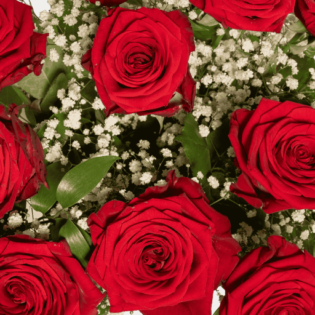Timeless Love - Image 3